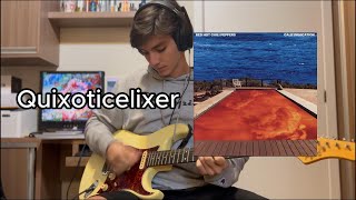 Quixoticelixer  Red Hot Chilli Peppers guitar cover [upl. by Gorga799]