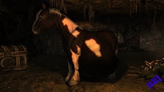 Skyrim Devourment  Horse The Bounty Hunter [upl. by Aerbas]