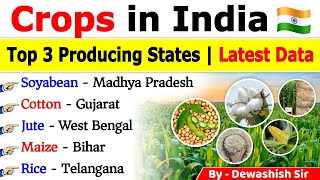 Top Crops Producing State in India  Top 3 States  Agriculture Production in India 2024  Crops GK [upl. by Ylus]