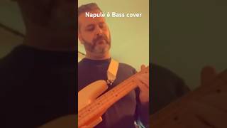 Napule è Bass cover [upl. by Millisent510]