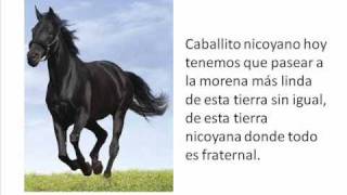 Caballito nicoyanowmv [upl. by Nivrac389]