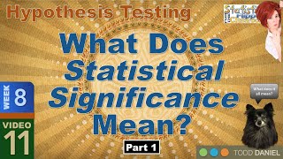 What Statistical Significance Means – Part 1 811 [upl. by Naginnarb]