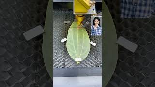 leaves production process laser engraving leaf engraving machine entrepreneurship [upl. by Atinor]