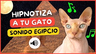 📢😻SONIDO EGIPCIO PARA GATOS TIK TOK🐫🐫  SONIDO ANTIGUO EGIPTO🐈 [upl. by Slohcin]