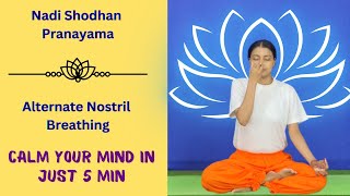 Nadi Shodhana Pranayama Alternate Nostril Breathing pranayama [upl. by Rotsen]