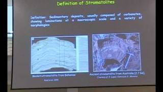 Lecture on Stromatolites part I [upl. by Sirad522]