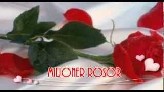 MILJONER ROSOR [upl. by Nomad]