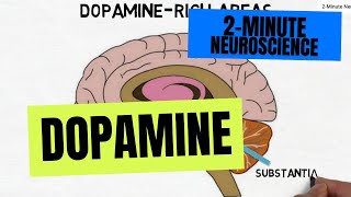 2Minute Neuroscience Dopamine [upl. by Ellekcir]