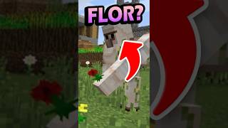 ¿Por qué IRON GOLEM da FLORES minecraft [upl. by Ymrots]