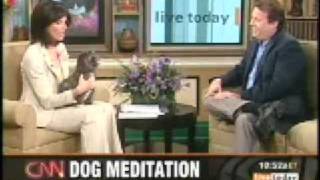 CNN on dog meditation with James Jacobson [upl. by Eustasius]