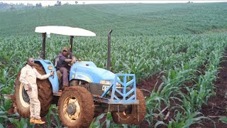 How to Start a Simple Profitable Maize Farm [upl. by Grand666]