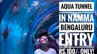 Bengaluru Aquarium hanuman viralvideo trending bengaluru visitingplaces wonders [upl. by Miharba531]