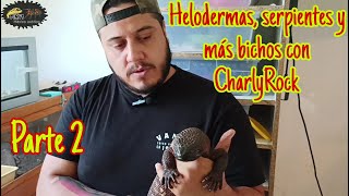 Helodermas serpientes y mas bichos con CharlyRock Parte 2 [upl. by Mirilla800]