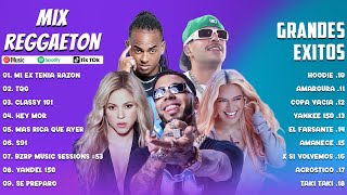 Mix Reggaeton 2023  Karol G Shakira Feid Ozuna Anuel AA  Lo Mas Nuevo 2023  Lo Mas Sonado [upl. by Sirac]