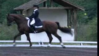 Galop 6 dressage et preparation [upl. by Adnole]