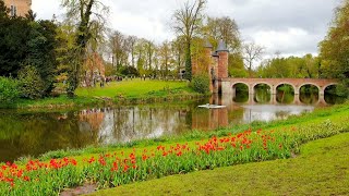 Floralia Brussels 2024  GrootBijgaarden Castle [upl. by Ahsenwahs]