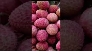 Litchi  Ce fruit quotbizarrequot qui cache un trésor pour votre santé [upl. by Dyan]