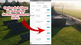 Tuto  Bridage réinjection sur microonduleurs DEYE G3G4 📊 [upl. by Dniren]
