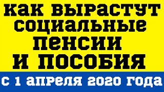 Как вырастут социальные пенсии и пособия с 1 апреля 2020 года [upl. by Nanreit]