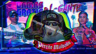 DAMAS GRATIS  PERRITO MALVADO Ft LGANTE amp MARITA  BASS BOOSTED [upl. by Ilram395]