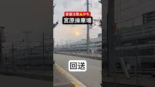 回送 jr西日本 子鉄 鉄道 train japan [upl. by Acinnor532]