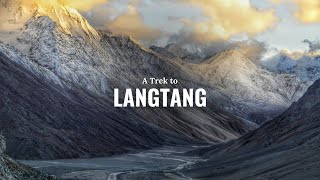 Langtang Trek  Vlog  First Part [upl. by Wehner78]