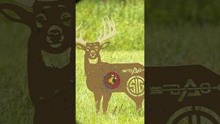 Compound bow vs Steel target hushlife elkcountry deer bowhunting [upl. by Notsruht]