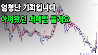 정말 엄청난 기회가 왔습니다 최고의 매매법 이제 풀게요 [upl. by Eceirehs]