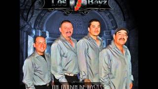 LOS D BOYZ LOS ALBAÑILES [upl. by Ashbaugh]