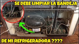 Mantén Tu Refrigerador Como Nuevo Guía para Limpiar la Parte de Atrás y Mejorar su Eficiencia 🧼✨ [upl. by Haakon]