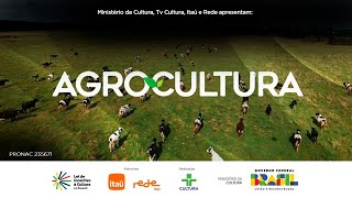 AGROCULTURA  CULTIVO DE MORANGO NO CALOR  17112024 [upl. by Ardnohsal]