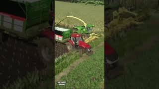 Corn Silage Harvest with John Deere 9900i  Farming Simulator 22 [upl. by Yelrac]