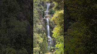 kitekite falls newzealandnature newzealandtourism nz newzealand waterfall [upl. by Aanas]