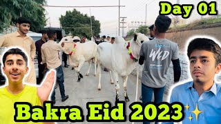 Bakra Eid 2023ğŸ˜DAY 01âœ¨ [upl. by Ailadi227]