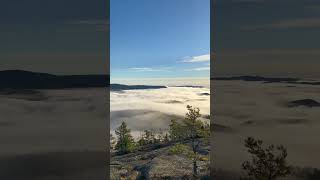 Fog blanket covering southern Telemark 🇳🇴 Norway Drangedal [upl. by Asante]