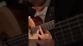 Fantaisie Dramatique Le Depart Op31  Napoléon Coste Short 14 guitar classicalmusic [upl. by Sheffield]