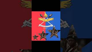 Happy Defense Forces Day in Zimbabwe 🇿🇼 🇿🇼 🇿🇼 defenceforces defenceforcesday zimbabwe [upl. by Zetnahs]