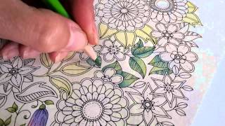 Colouring Secret Garden with Bruynzeel Super Sixties pencils [upl. by Nuahsad566]