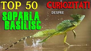 Top 50 curiozitati despre SOPARLA BASILISC [upl. by Linetta563]