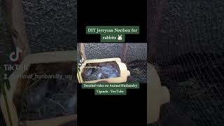 DIY Jerrycan Nestbox for rabbits 🐰 😍 rabbitfarming animalhusbundryuganda babyrabbits [upl. by Alegnaoj]