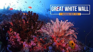 Great White Wall Fiji [upl. by Lebana]