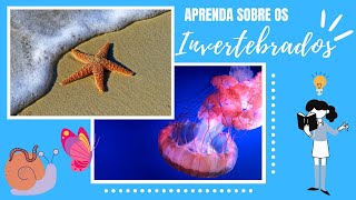 INVERTEBRADOS PRINCIPAIS FILOS CARACTERÍSTICAS E MAIS [upl. by Adila]