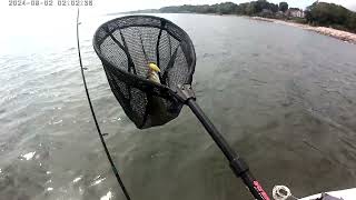 Bass fishing on Ontario Lake  1  2024 [upl. by Hilton]