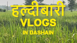 हल्दीबारी JHAPA VLOGS ON DASHAIN AT MAMALA vlog dashainspecial vlogs [upl. by Esej]