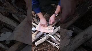 FERRO ROD Start a fire 🔥 using Birch Bark [upl. by Breech]