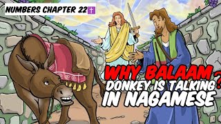 The story of Balaam and his talking Donkey in Nagamese  Balak Summons Balaam Number chapter 22 [upl. by Yalahs110]