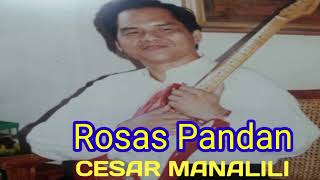 Rosas Pandan Guitar Instrumental by Cesar Manalili [upl. by Specht251]