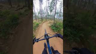 Only Berms bike mtblife mtb bikelife asmr shorts [upl. by Nolana]