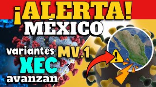 ALERTA EN MÉXICO  VARIANTES MV1 Y XEC AVANZAN [upl. by Ycnaffit]