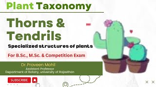 Thorns Tendrils amp Phylloclade  Specialized structures of plants  Dr Praveen Mohil [upl. by Ingram]